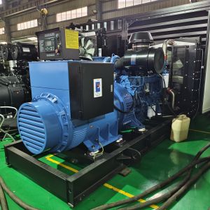 300kw Biogas Generator 50Hz 400V 375kva Biogas Power Generator For Electricity