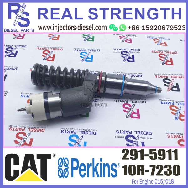 fuel engine injection nozzle injector diesel pump injector sprayer 291-5911 for CAT engine