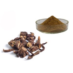 Water Soluble Organic Dandelion Root Herbal Extract Powder