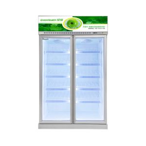 R290 2 Glass Door Upright Display Fridge Refrigerator Energy Save Inverter