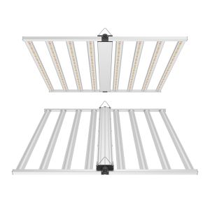 Full Spectrum LED Cultivation Light For Leafy Greens Lettuce