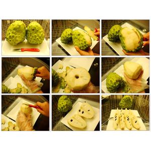 Manufacturer Supply Graviola Soursop Extract 4:1 for fruit juice application