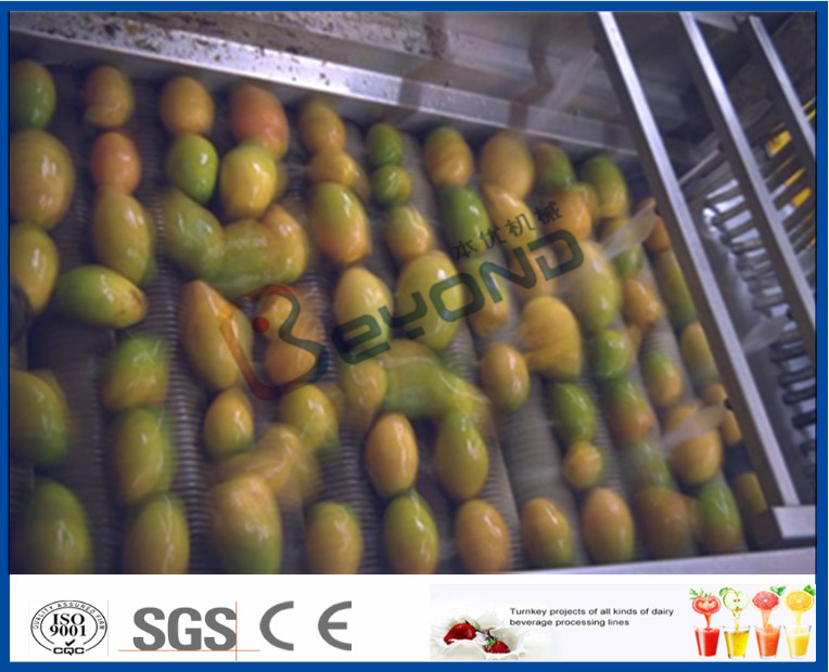 Wholesale Mango Juice Factory Fruit Pulp Processing Plant , Mango Processing Equipment from china suppliers
