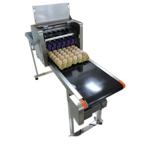 Wholesale Poultry Egg Date Coding Machine Automatically Updated With LCD Touching Screen from china suppliers