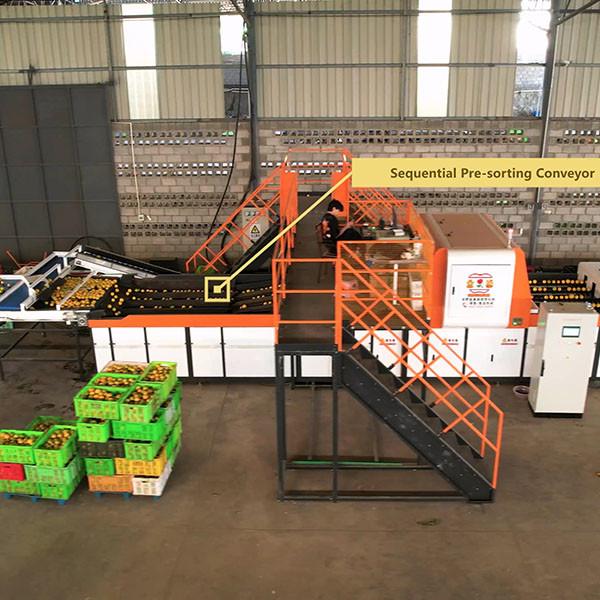 Quality Revolutionizing Orange Sorting Machine With AI Deep Learning Technology for sale