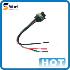 Customized Rohs compliant Automobile Wire Harness assembly wiring harness under