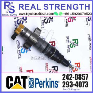Diesel Engine C7 C9 Fuel Injector 242-0857 242-0857 For 324D/325D/326D/329D/330D