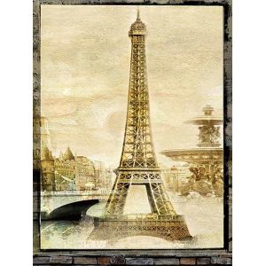 Printed roller zebra blinds roller shades / Motorized roller blinds for window /