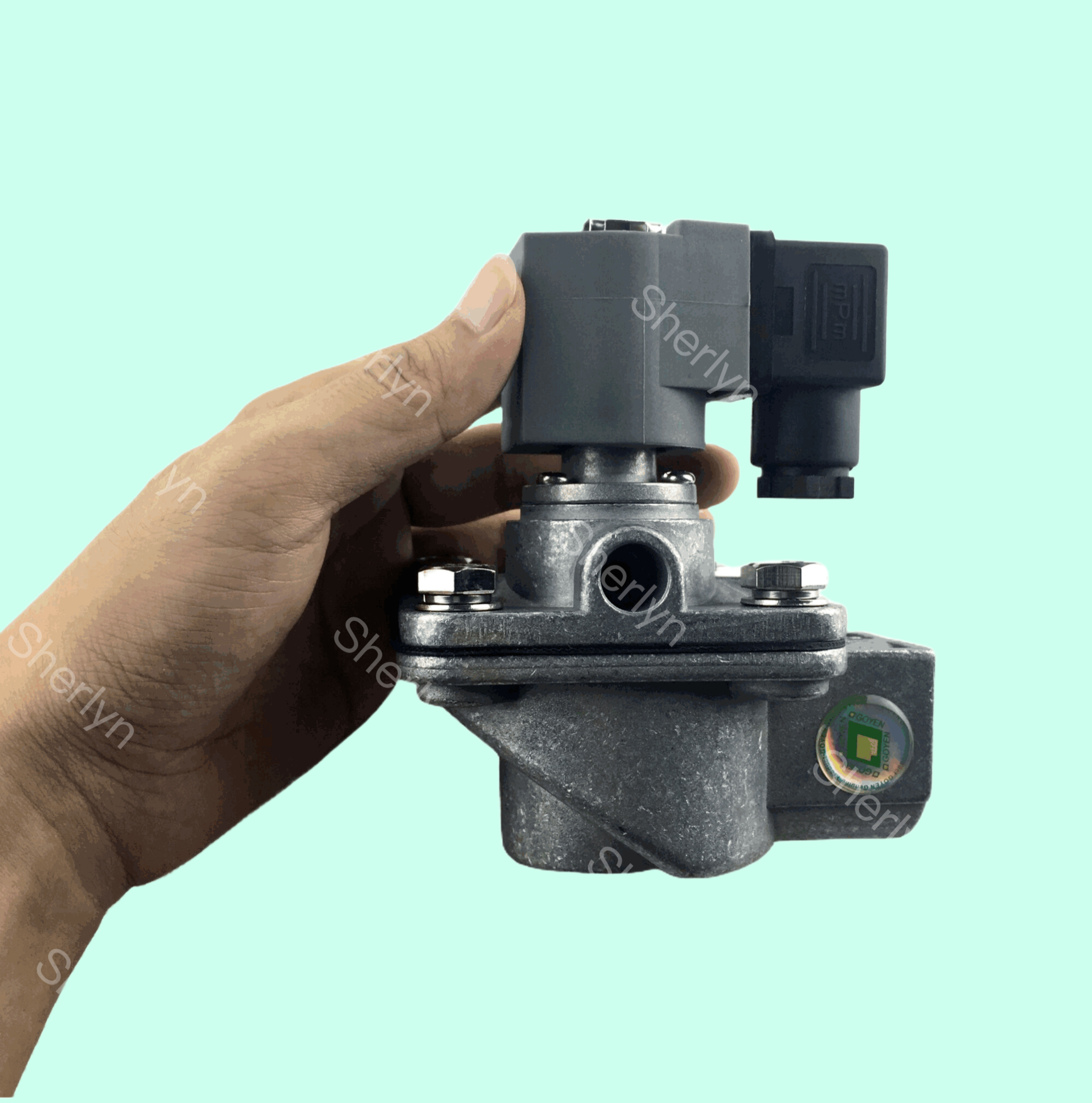 Wholesale CA25T GOYEN 1-inch Pulse Valve DC24V Right Angle Type Suitable For Diaphragm K2501 K2503 from china suppliers