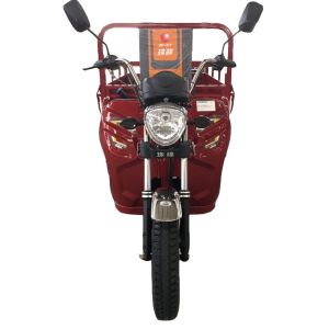 Wholesale Pedal 1.0m*3.1m 110cc 3 Wheel Trike Moped from china suppliers