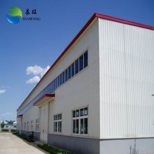 Custom Steel Structure Building with Galvanized Frame