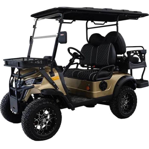 Strong overload capacity 4kW AC motor for Electric Golf Cart