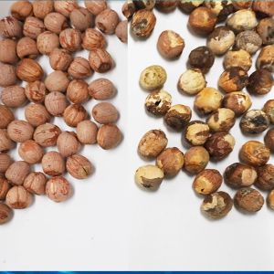 360 Degree Rotational Scanning Lotus Seed Sorting And Grading Machine 8 Channels