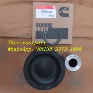 Hot Sell Cummins Qsx15 ISX15 Diesel Engine Part Piston 4298991 4923744 4298992