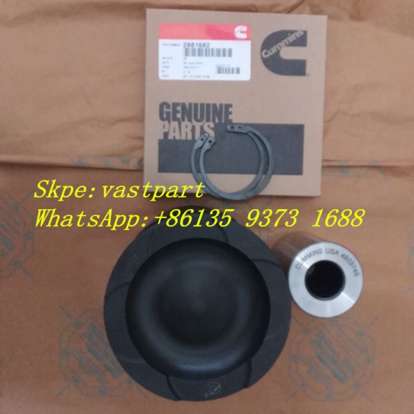 Hot Sell Cummins Qsx15 ISX15 Diesel Engine Part Piston 4298991 4923744 4298992 2881873