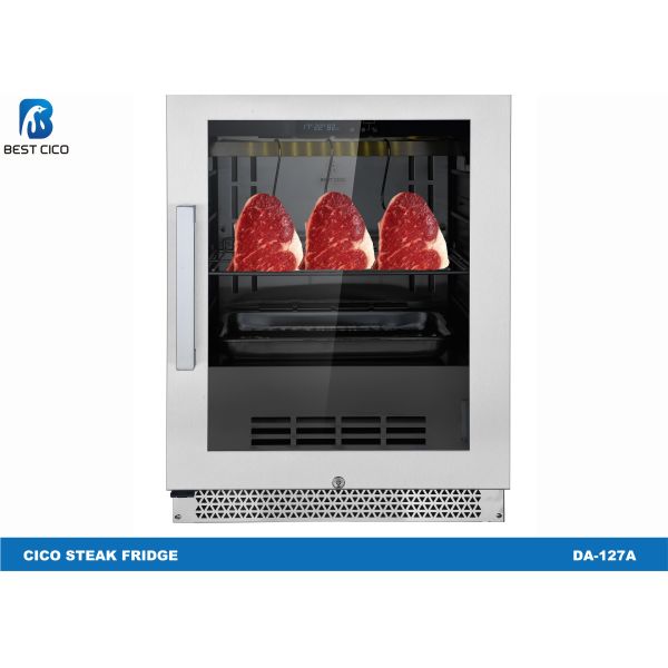 Auto Closing Meat Dry Aging Refrigerator DA-127A 127L Volumn Compressor Cooling System