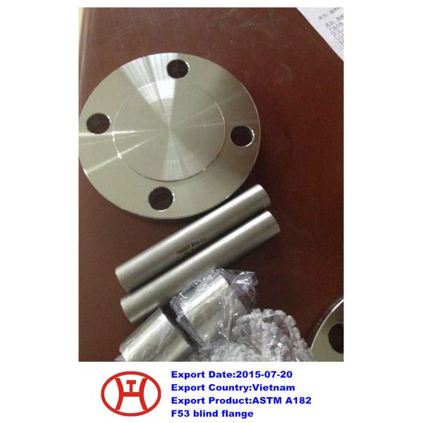 UNS S32750 2507 1.4410 ASTM A182 F53 blind flange