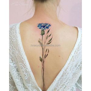 Wholesale Custom Body Decoration Tattoo Water Tattoo Transfer Paper for Waterproof Printing from china suppliers