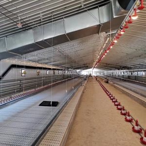 90 Degree Chain Automatic Pan Feeding System