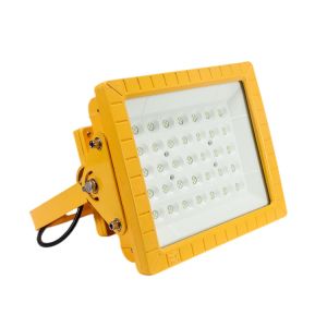 220v ATEX Explosion Proof Light Fixture 100w Aluminum