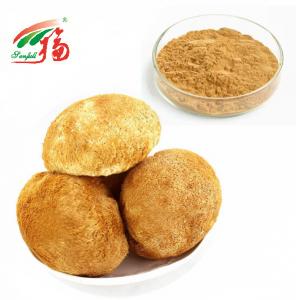 China Lions Mane Hericium Erinaceus Mushroom Extract UV 30% Polysaccharides For Cosmetics on sale