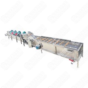 Direct Factory Pickled Ginger Washing And Cutting Machine Process Line With