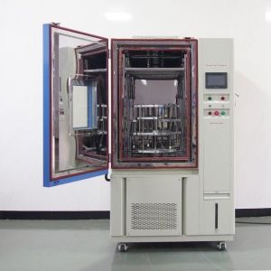 Dynamic Corrosion 1000PPHM Ozone Test Chamber