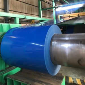 SPCC Dx52d Galvanized Steel Coil Hot Dip Ppgi Ppgl Rustproof 610mm