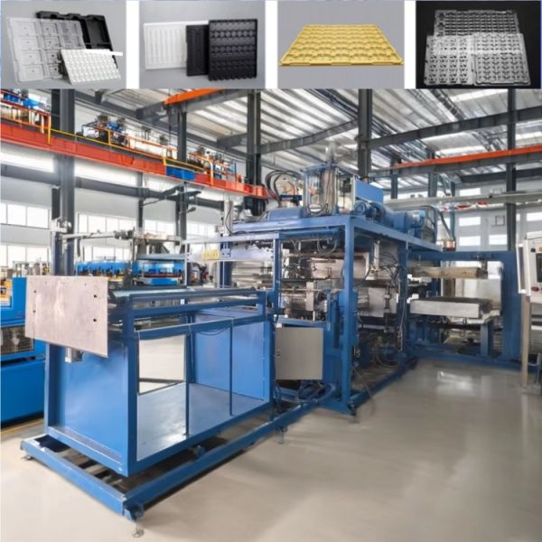 Quality Seedling Tray Plastic Thermoforming Machine Processing Type Plastic Vacuum Forming Machine for sale