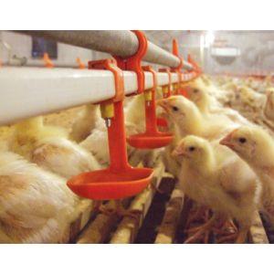 Automatic Nipple Drinker Poultry Drinking Line 0.2MPa-0.6MPa