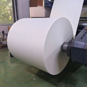 White Cardboard Double Side PLA Coated Paper Cup Roll with Customizable Printing
