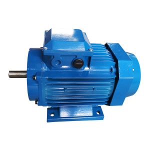 4HP AC 3 Phase 4 Pole Induction Motor Asynchronous Type Conform To IEC Standard