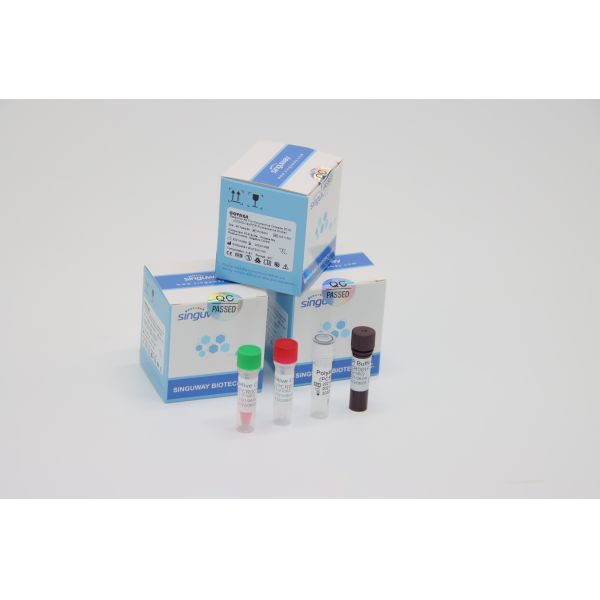 Lab Using RT PCR Covid Test Kits Clinical LP Virus PCR Media Dual Swab Sample