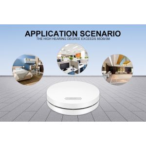 Photoelectric Standalone Smoke Alarm With Test Button 3 Year Battery Smoke