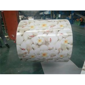 China Medium hard(HRB60-85) Brick Design Prepaint Color Coating Steel Sheet PPGI PPGI Export Standard Package or as Request on sale