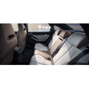 BYD Qin plus DMIi 55 km Leading Edition with 7.9s 100m Acceleration