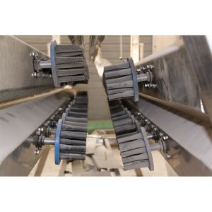 Vertical Poultry Defeathering Machine Automatical Poultry Plucking machine