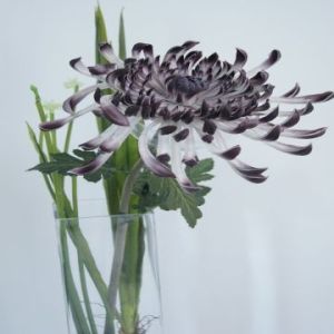 Real Touch PU Chrysanthemum, New Design