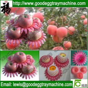 pan cap tray for apple/pear/peach/orange/tomatoes packing