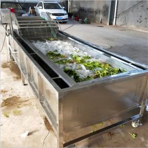3000W Fruit Vegetable Washing Machine Fully Automatic Multi Functional