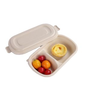 White Biodegradable Take Away Containers Disposable Eco Friendly Takeaway