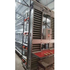High Brood Survival Rate Layer Chicken Cage Multilayer Partition Structure