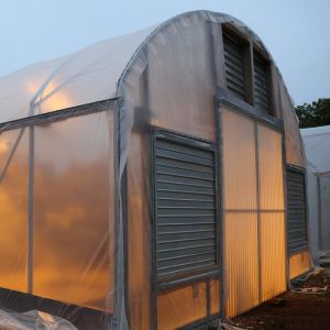 Width 8m-9m Automatic Blackout Greenhouse System With Rolling Blackout