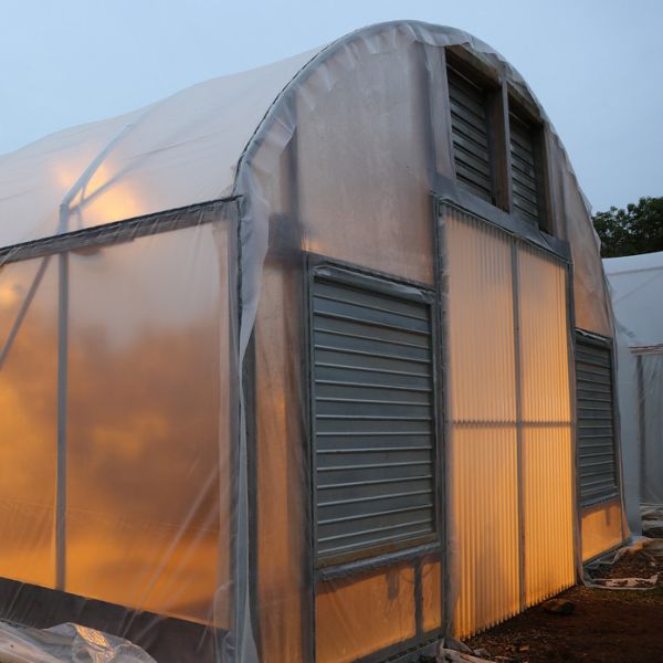 Quality Width 8m-9m Automatic Blackout Greenhouse System With Rolling Blackout for sale