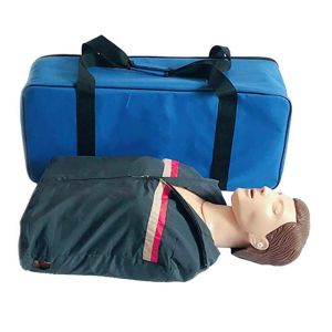Cpr First Aid Manikins Medical Simulation Dummy Half Body
