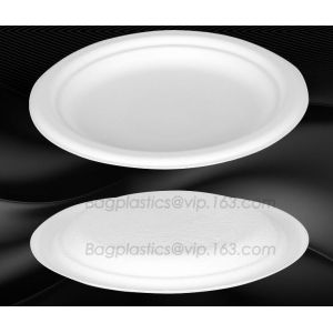 Compostable Clamshell Take Out Food Containers, Natural Disposable Bagasse, Eco