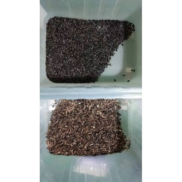 Watermelon Seed Color Sorter Machine For Pumpkin Seed