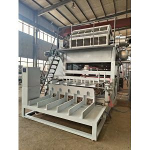 Fully Automatic 5000pcs/h Capacity 5*8 Molds Rotary Forming Model Egg Tray