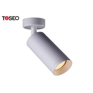 Restaurant Adjustable LED Ceiling Spotlights Surface Mounted IP20