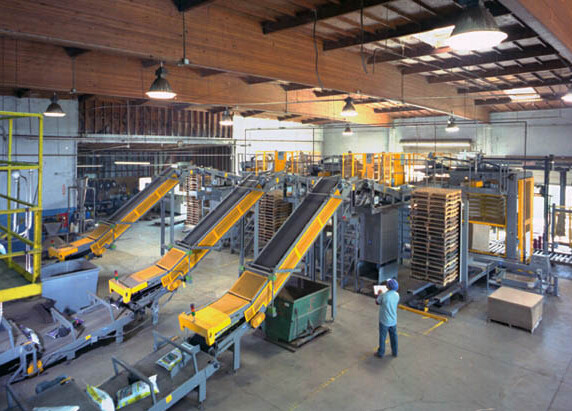 Quality Carton Automated High Level Palletizer Load Holding / Moving Multi - Functional for sale